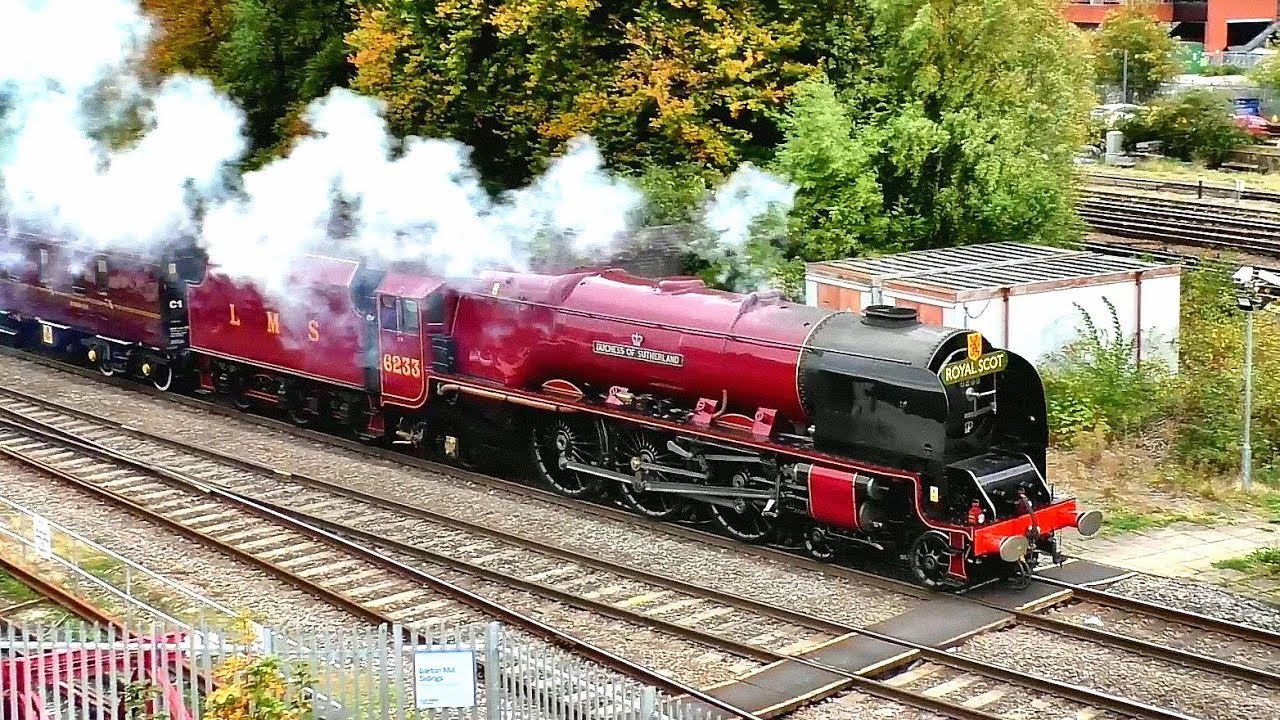 The Stunning Duchess Red Debut Down South YouTube