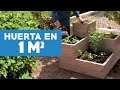 ¿CoÌmo hacer una huerta en 1m2?