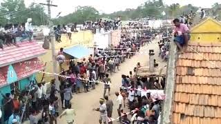 Katpadi thakkalie & tomato King bull race andhra street