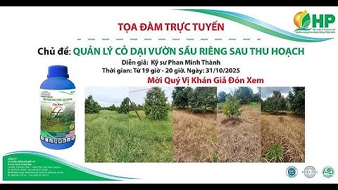 [SẦU RIÊNG] QUẢN LÝ CỎ DẠI VƯỜN SẦU RIÊNG SAU THU HOẠCH