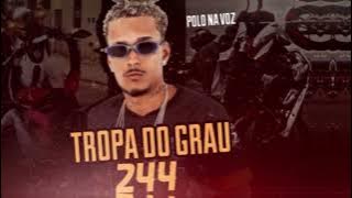 TROPA DO GRAU 244 - POLO NA VOZ - (REMIX BREGA FUNK)