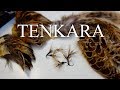 [TENKARA] I had a cerebral infarction. 脳梗塞になりまして