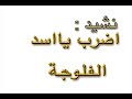 اضرب یااسد الفلوجة