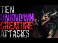 10 Times Unexplained Creatures ATTACKED!