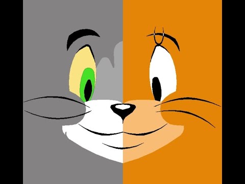 Designing TOM and JERRY using Python