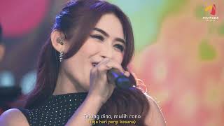SHEPIN MISA X SAHLI HIMAWAN X SILVY KUMALASARI - BOJO LORO |  Live 