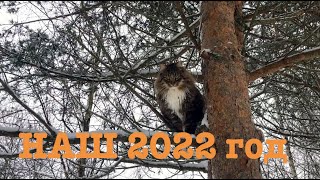 #119. Уходящий 2022, как это было...  [Жизнь на своей земле]