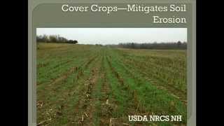 Thomas Akin - Cover Crops