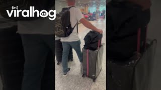 Suitcases Pile Up At Baggage Claim || Viralhog