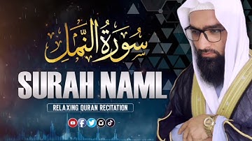 اجمل التلاوت المميزة من سورة النمل | للقاري الشيخ عبد السلام