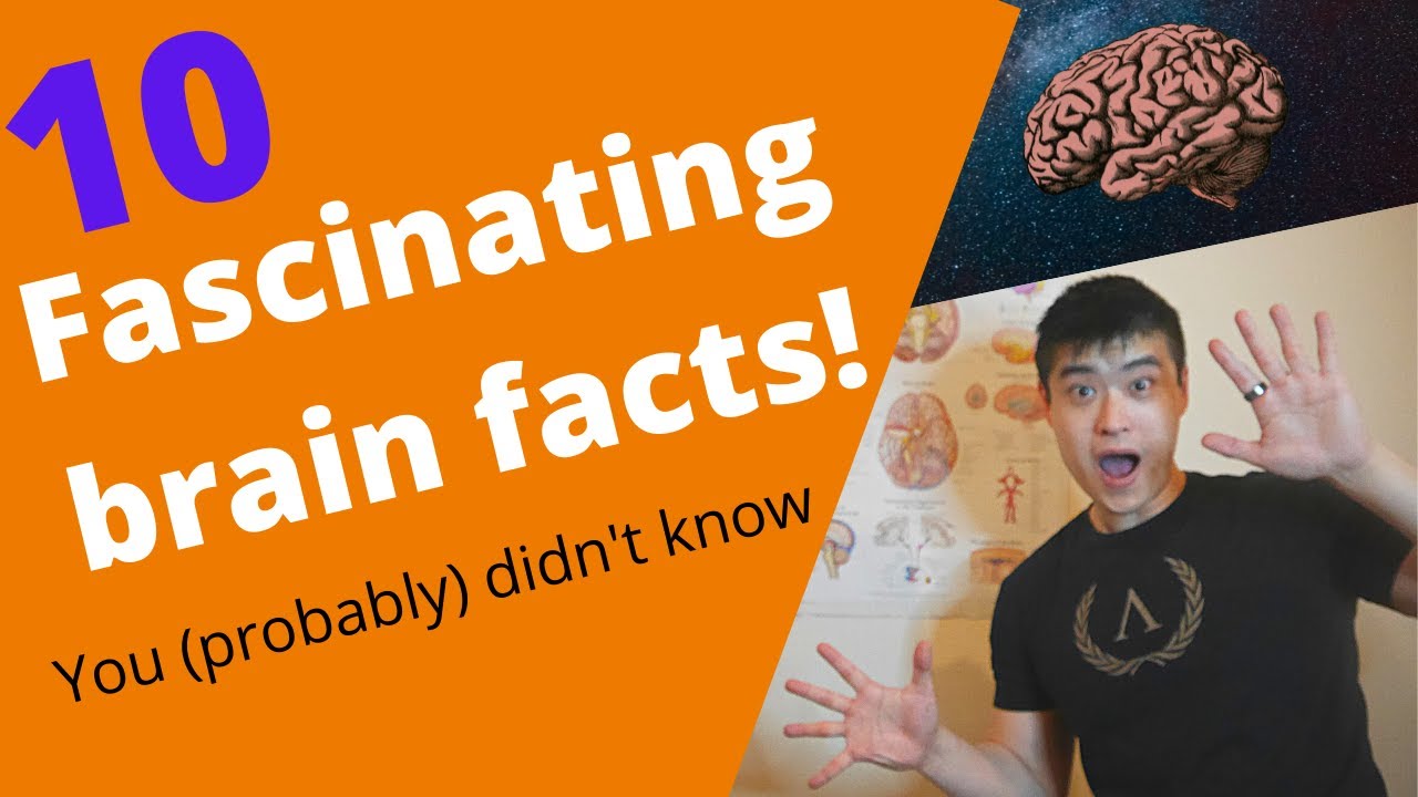 10 FASCINATING BRAIN FACTS YOU (probably) DIDN'T ALREADY KNOW! - YouTube