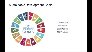SDGs in a Systems Thinking Perspective