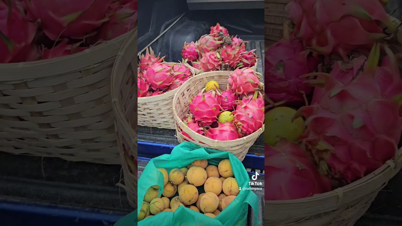 Reminder of my Existence 