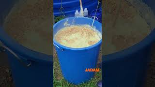 JADAM Sulfur (JS) 자닮유황 만들기