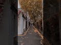 وسط الشوارع ناس كثير اليسا