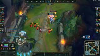 Q flash prediction Darius