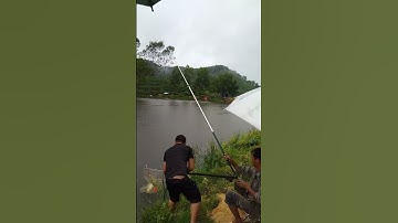 mồi câu chép giòn hiệu quả