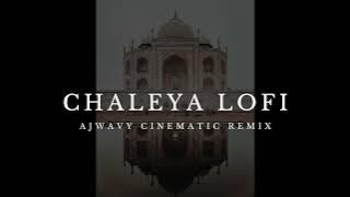 Chaleya Cinematic Lofi Remix (Tiktok Viral)
