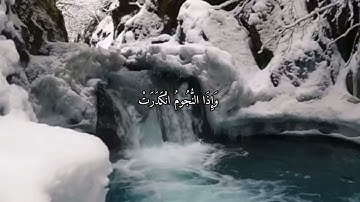 القارئ محمد اللحيدان تلاوة خاشعة (سوره التكوير)