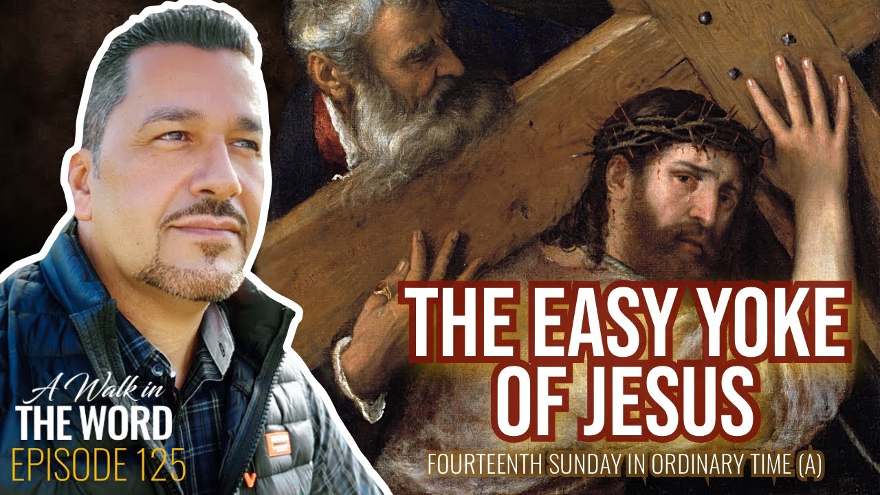 FOURTEENTH SUNDAY IN ORDINARY TIME YEAR A THE EASY YOKE OF JESUS myyokeiseasy myburdenislight