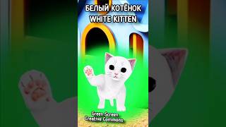 Белый котёнок хромакей футаж на зелёном фоне. Анимация котёнка green screen. #greenscreen