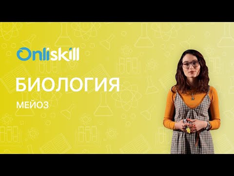 БИОЛОГИЯ 10 класс : Мейоз