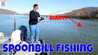Catching GIANT Prehistoric Fish | Spoonbill Fishing | Fort Gibson Lake