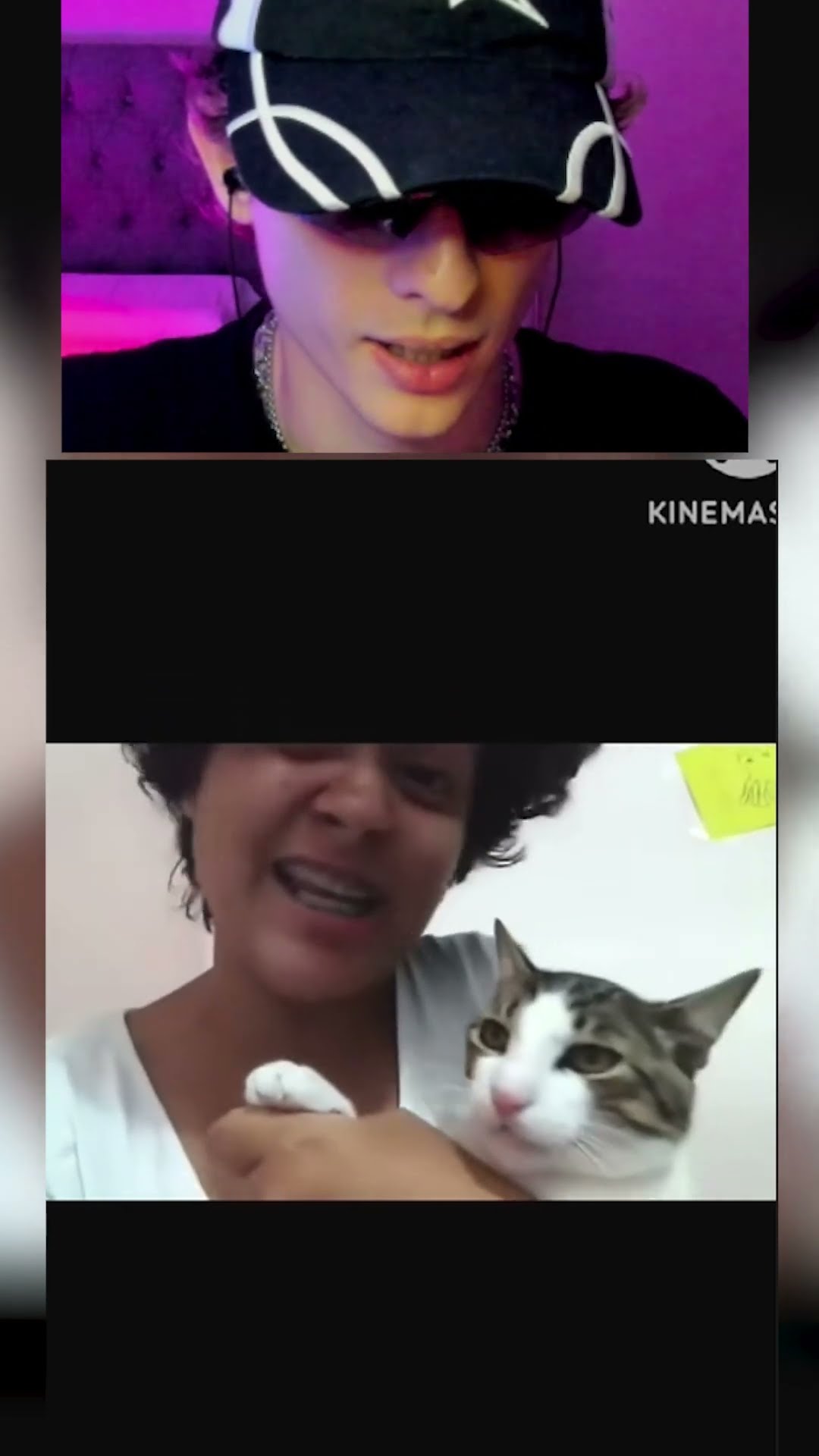 Se ROMPIÓ el gato?