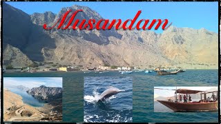 Musandam - Khasab || Musandam day trip from Dubai || Travel Vlogs || Banana boat || Dolphin viewing