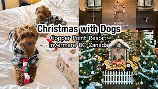 🎄Slow Christmas Days | A Dog-Friendly Winter Getaway 🐶