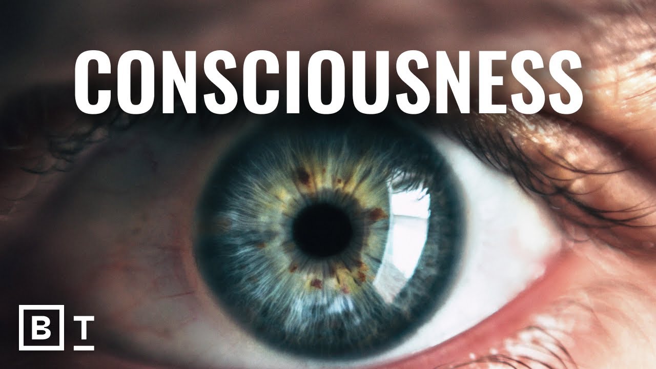 “Experts Explain: The Illusion of Consciousness – Is it Real?” – Video