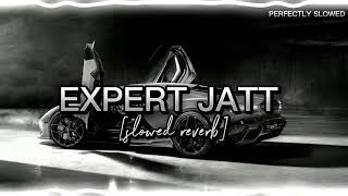 Expert Jatt (slowed reverb) | PERFECTLY SLOWED Resimi