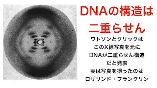 ワトソンとクリックのDNA二重らせん構造の発見