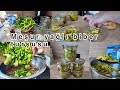Bahceden topladığım taze biberle yağlı turlu yaptım rnfes❤️