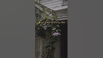سورة قصيرة لكنها تحمل أعظم رسالة 💚#قرآن #سورة_الماعون #تلاوة #خشوع #قرآني #قران_كريم #قران #الماعون