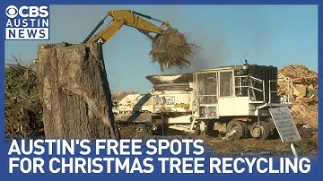 Keep Austin green by recycling your Christmas tree