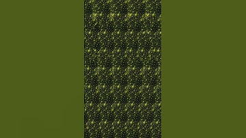 What animal can you see it in this Stereogram? #stereogram #challenge #cool