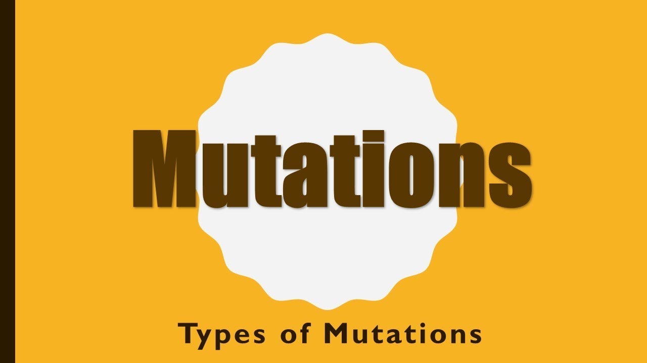 Types of Mutations (أنواع الطفرات)