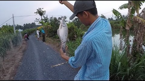 ĐI GẶP CAO THỦ SĂN CÁ THÁC LÁC CƯỜM ĐỂ HỌC CÁCH CÂU CÁ THÁC LÁC CƯỜM