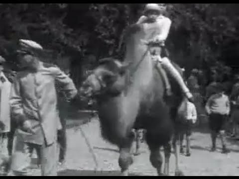 Artis-film (1938)