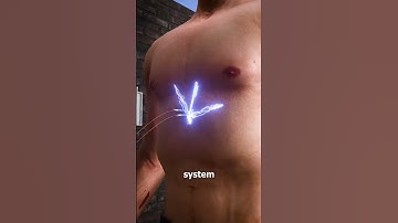 How A Taser Works 😱