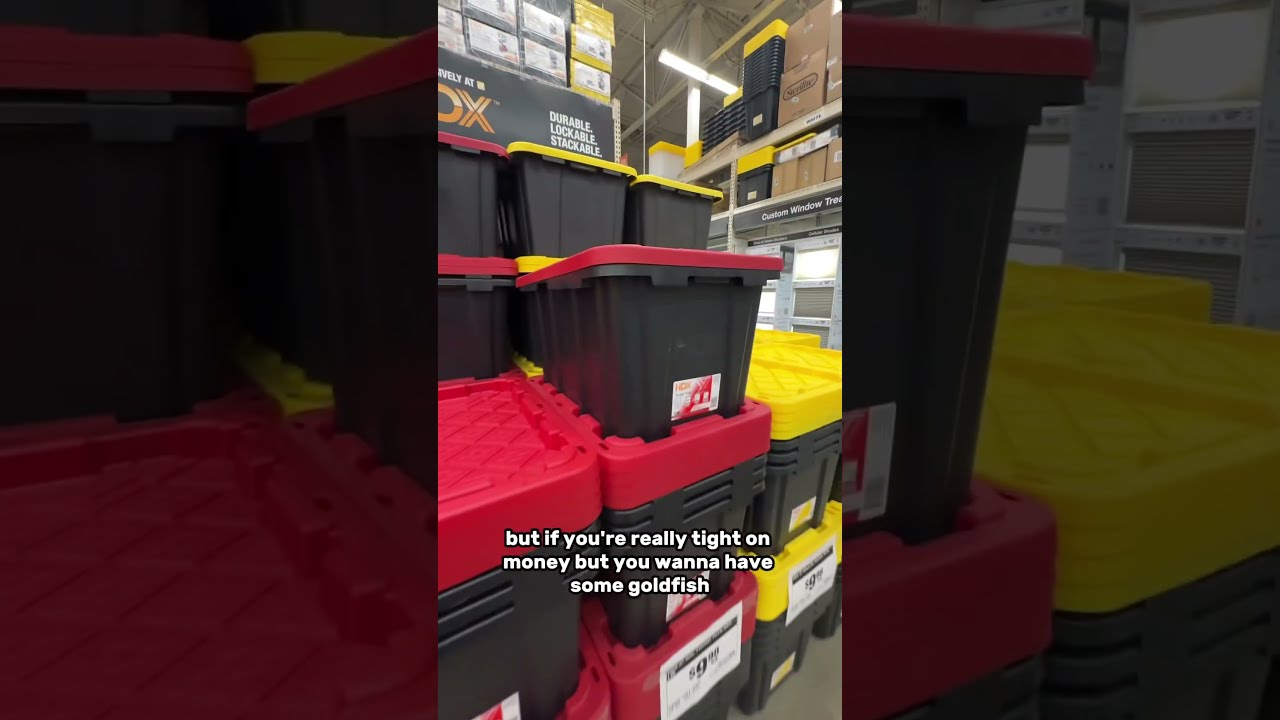 Do NOT Buy A Glass Fish Tank 