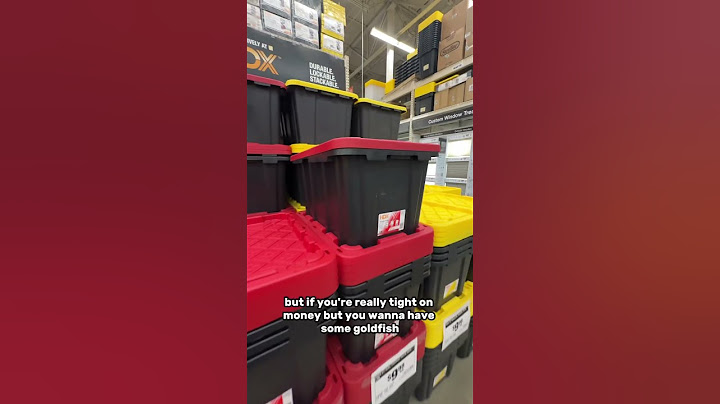 Do NOT buy a glass fish tank…