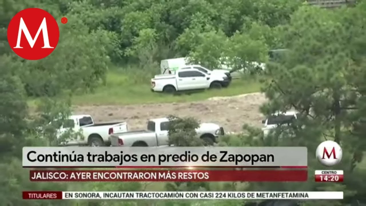 Continúa trabajos en predio de Zapopan milenio tv en vivo