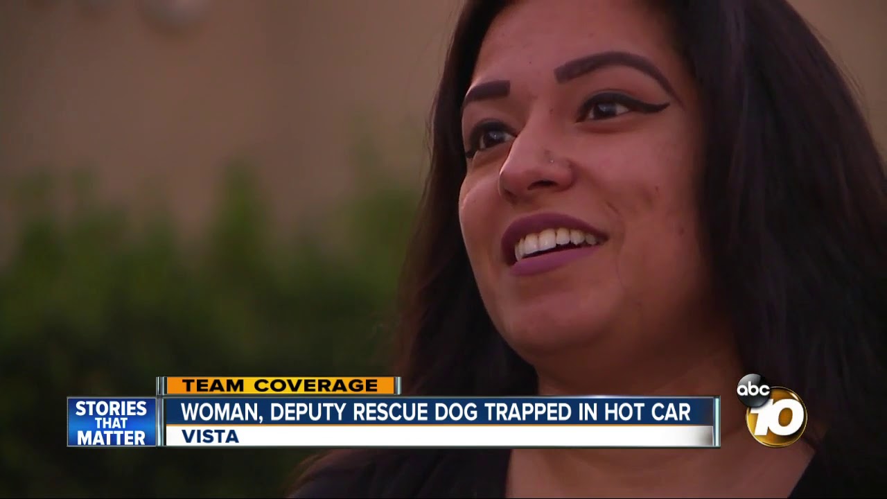 Woman, deputy rescue dog from hot car
