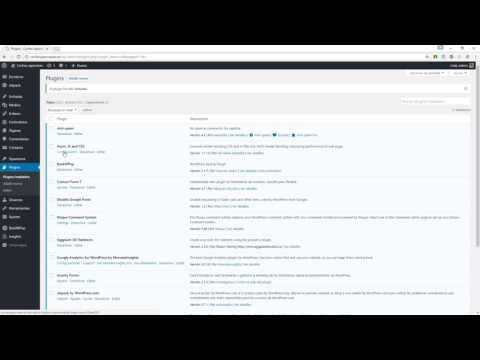 Video de Youtube sobre: Cómo optimizar WordPress - Guía completa GRATIS