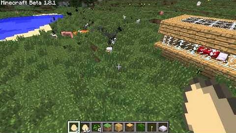 Minecraft Exploding Chicken Bombs