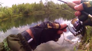 Видео Рыбалка в юбилей. Карьеры. Окуня-лапти. Откушенный Squad Minnow 80 (автор: Spin-Adrenalin)