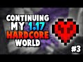 Minecraft 1.17 But If I Die, The World Gets Deleted (3)