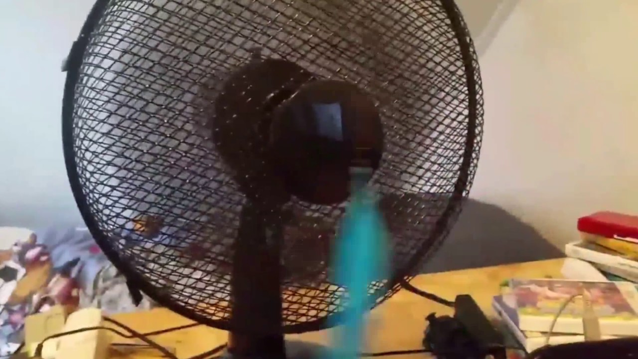 worm on a string vid - YouTube